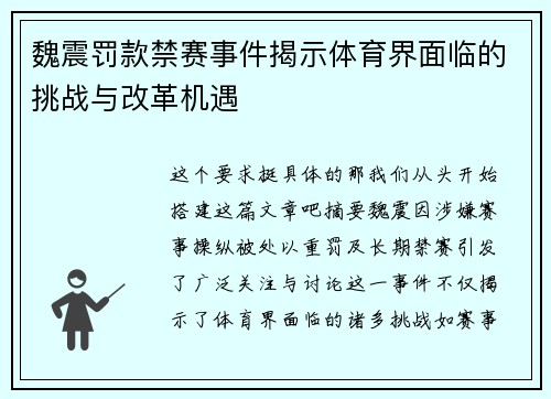 魏震罚款禁赛事件揭示体育界面临的挑战与改革机遇